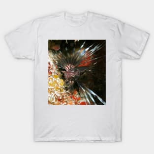 Caribbean Lion Fish T-Shirt